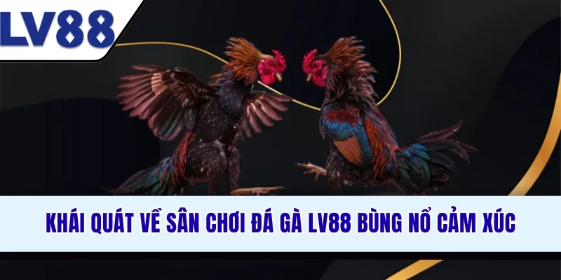 khai-quat-ve-san-choi-da-ga-lv88-bung-no-cam-xuc