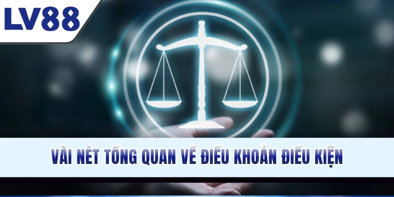 vai-net-tong-quan-ve-dieu-khoan-dieu-kien